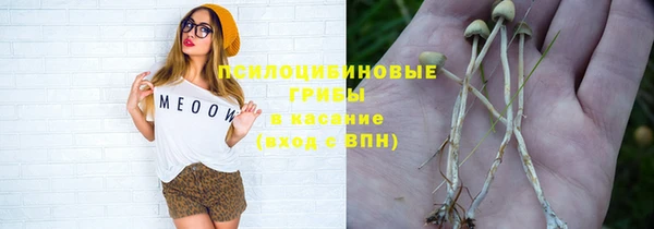 мет Россошь