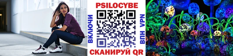 площадка наркотические препараты  купить   omg tor  Суворов  Галлюциногенные грибы Cubensis 